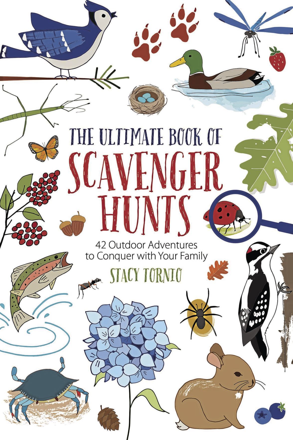 The Ultimate Book of Scavenger Hunts_CMYK.jpg